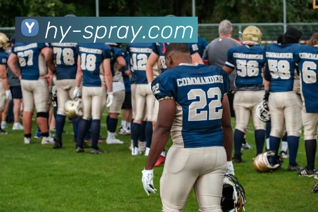 leyu官网入口服务体系